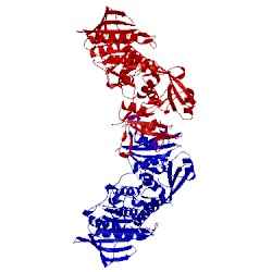 Image of CATH 5ibs