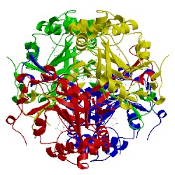 Image of CATH 5ibz