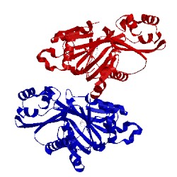 Image of CATH 5ich