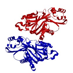 Image of CATH 5icl