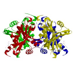Image of CATH 5icw