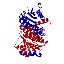 Image of CATH 5if3