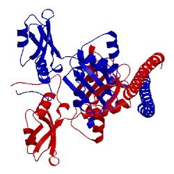 Image of CATH 5ifn