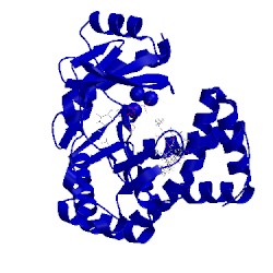 Image of CATH 5igr