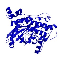 Image of CATH 5ihc