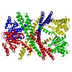 Image of CATH 5iit
