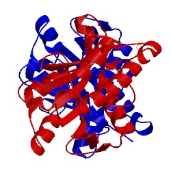 Image of CATH 5ike