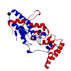 Image of CATH 5ikf