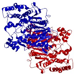 Image of CATH 5ikx