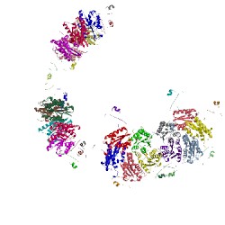 Image of CATH 5im4