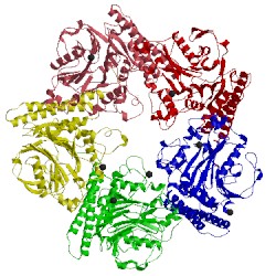 Image of CATH 5imh