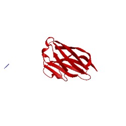 Image of CATH 5imo