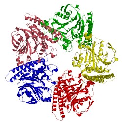 Image of CATH 5inx