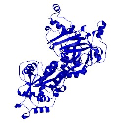 Image of CATH 5ipw