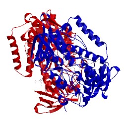 Image of CATH 5ipy