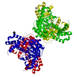 Image of CATH 5iqc