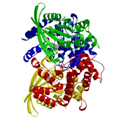 Image of CATH 5irc