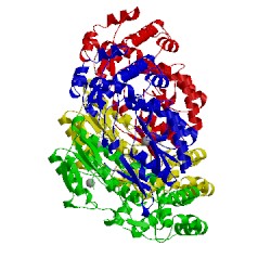 Image of CATH 5irf