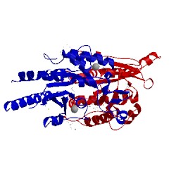 Image of CATH 5irr