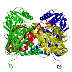 Image of CATH 5is8