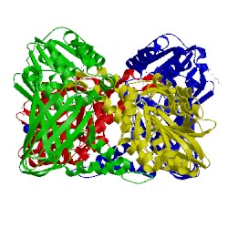 Image of CATH 5isa