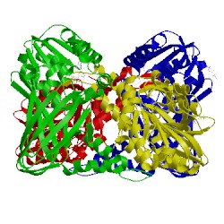 Image of CATH 5isd