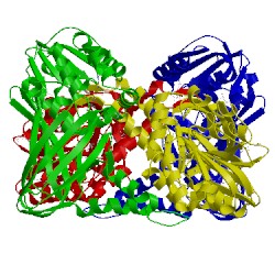 Image of CATH 5ise