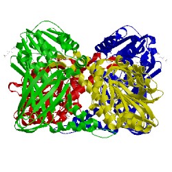 Image of CATH 5isf