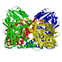 Image of CATH 5isg