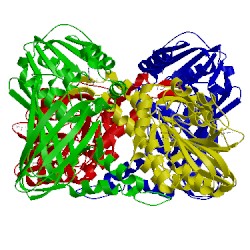 Image of CATH 5isi