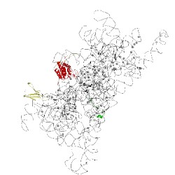 Image of CATH 5it9
