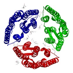 Image of CATH 5itc