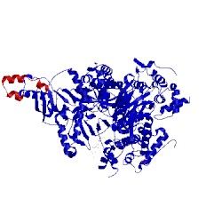 Image of CATH 5itd