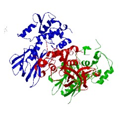 Image of CATH 5itr