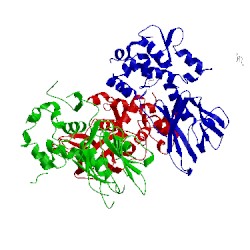 Image of CATH 5itu