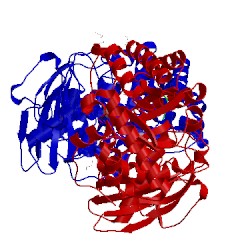 Image of CATH 5iu0