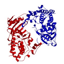 Image of CATH 5iu2