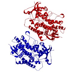 Image of CATH 5iuz