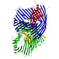 Image of CATH 5iv8