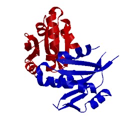 Image of CATH 5ivu