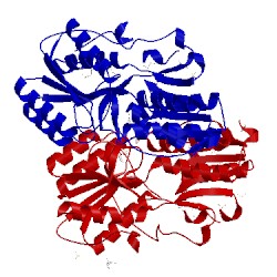Image of CATH 5ix8
