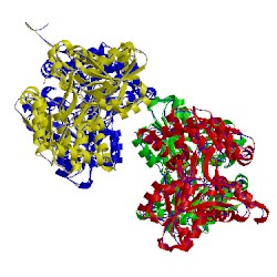Image of CATH 5ixj