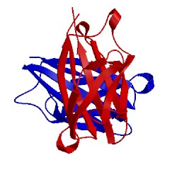 Image of CATH 5j0c