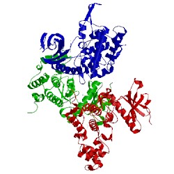 Image of CATH 5j1v