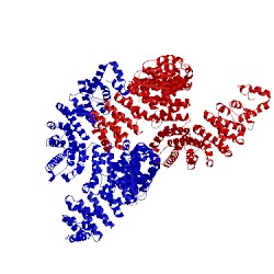 Image of CATH 5j3v