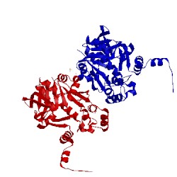 Image of CATH 5j49