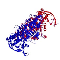 Image of CATH 5j5a