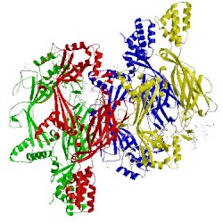 Image of CATH 5j67