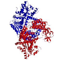 Image of CATH 5jc3