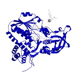 Image of CATH 5jca